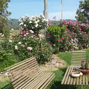 Il Vecchioliveto Di Ornella Bed & Breakfast